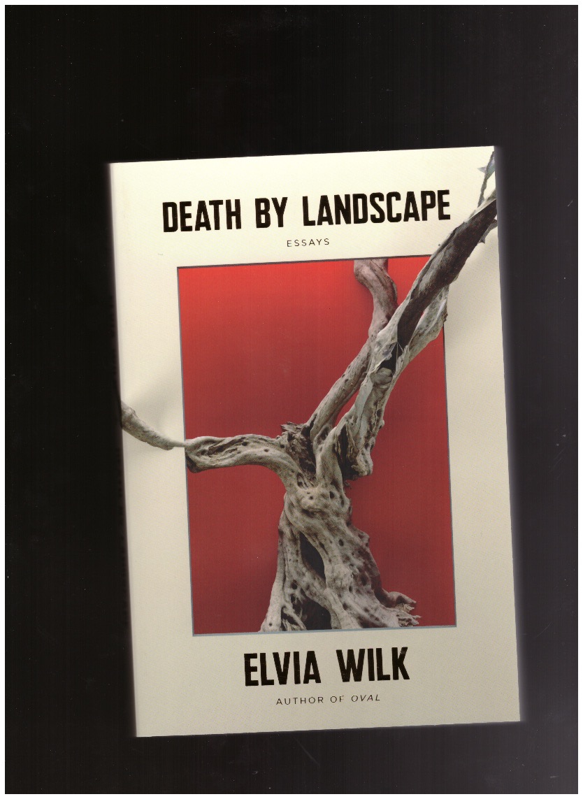 WILK, Elvia - Death by landscape